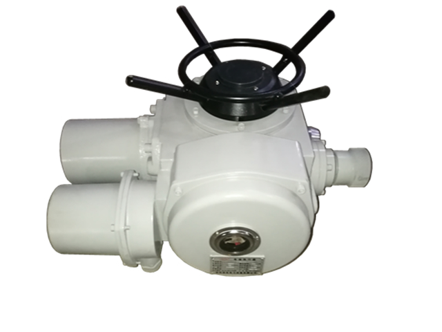 DZW系列多回转电动执行机构